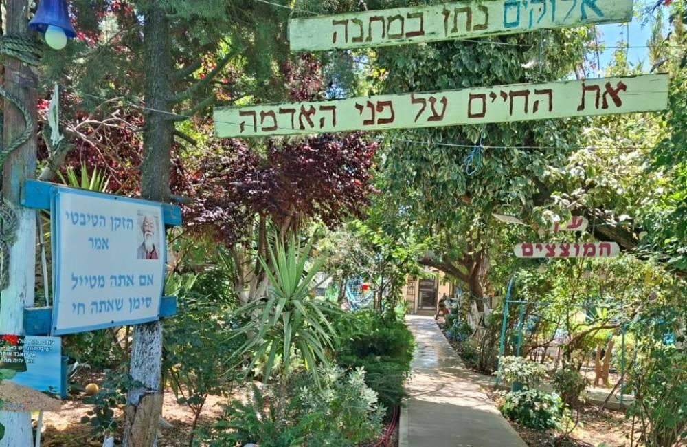 אחוזת אנאאל בגליל צפון  30  נופש - וי פור ויקיישן - V for Vacation