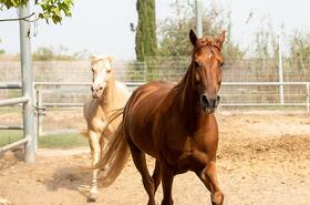 , 